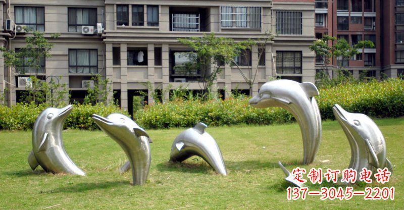 沈阳海豚的浪漫
