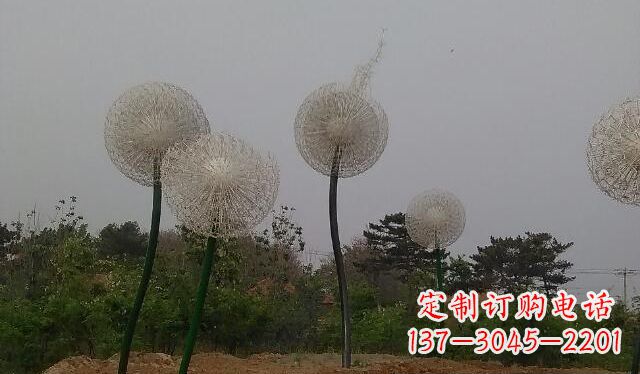 沈阳蒲公英的绚丽多彩