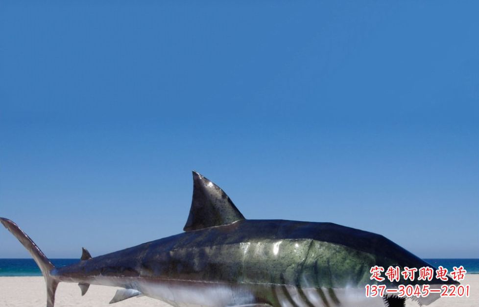 沈阳海洋生物之美——不锈钢鲨鱼雕塑