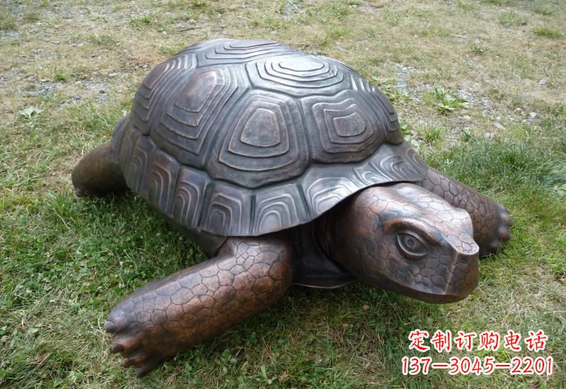 沈阳乌龟铜雕222